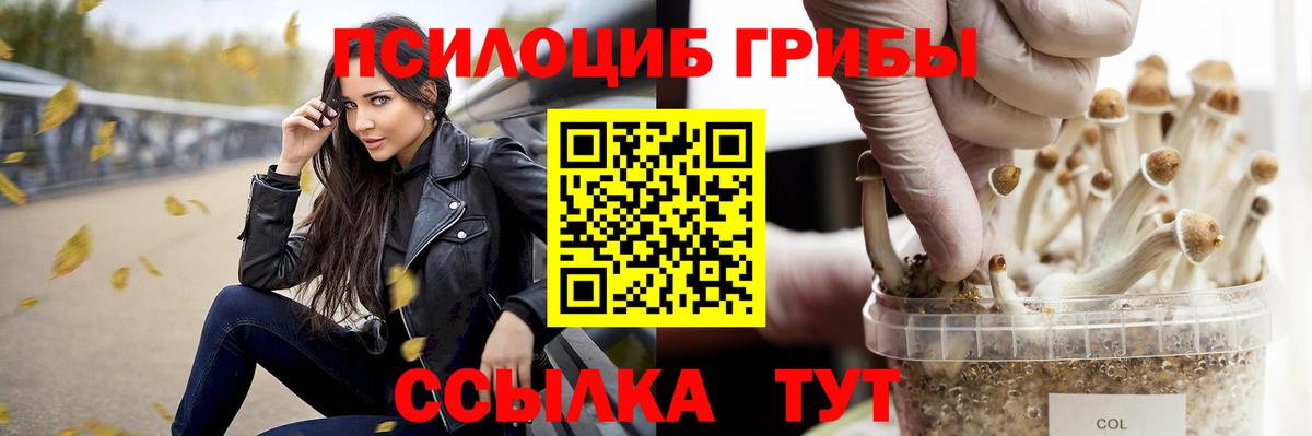 Псилоцибиновые грибы Magic Shrooms  Галлюциногенные грибы Psilocybine cubensis  Вход с VPN  Нефтекумск 